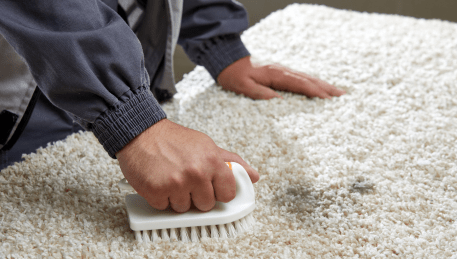 Professional Rug Cleaning Hawksburn